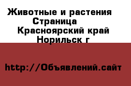  Животные и растения - Страница 27 . Красноярский край,Норильск г.